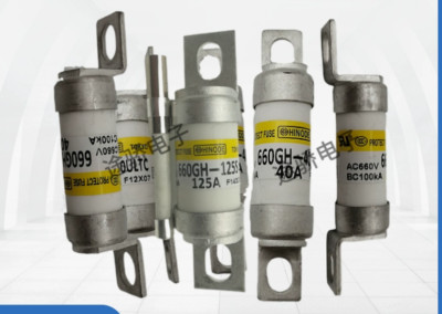 1PCS NEW FIT FOR HINODE FUSE 1000GH-100UL