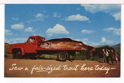 1967 - ''Saw a fair-sized Trout here today'' Fish on a Truck Pstmrk AR Postcard