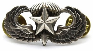 Download Airborne Star Jump Wing Badge Custom Insignia Uniform ...