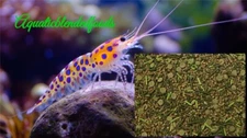 ABF ULTRA+ FRESHWATER SHRIMP FOOD MIX/With CALCIUM-MINI WAFERS, Spirulina ABF415