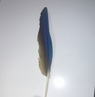 Blue & Yellow MACAW Feathers           DIY Crafts, Decorations — photo 2