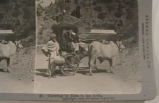 Ekka Cart India Stereo Travel Stereoview Photo 