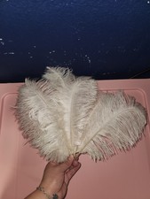 Decorative Feathers Set Of 8 Cream/white