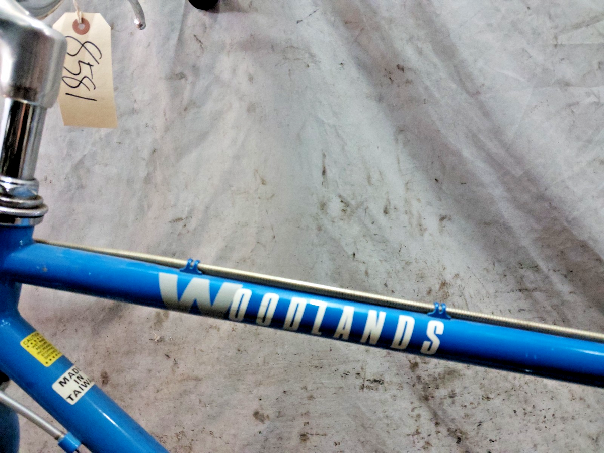 Vélo VTT Schwinn Woodlands 1996 – Taille L – Cadre Acier – 10 Vitesses – Occasion à Restaurer