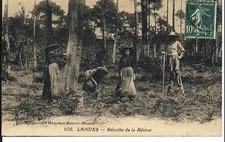 (S-33769) FRANCE - 40 - NON SITUEE CPA      GALERIES MODERNES ed.