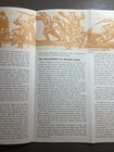 Bild 7 von 12