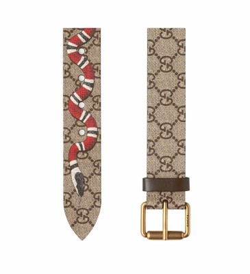 Gucci GG Supreme belt with Kingsnake 
