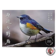 NEW Common Wild Birds Calendar 2026 Wall Hanging Calendar 