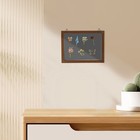 Transparent Dustproof Medal Display Frame Wood Case Pin Badge Holder