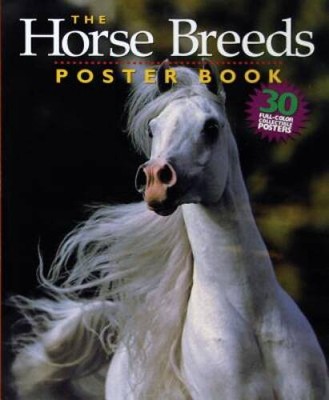 The Horse Breeds Poster Book - Paperback By Langrish, Bob - VERY GOOD