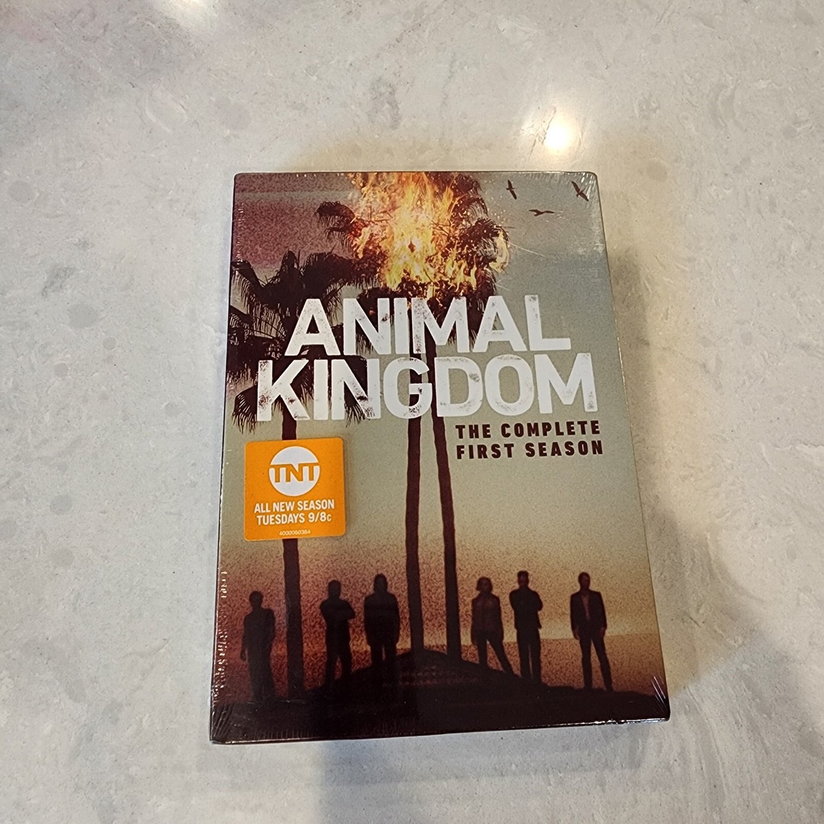 Tv Series Animal Kingdom Season Episode Animal Kingdom The