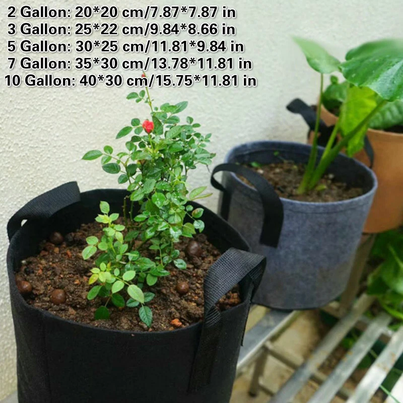 10 gallon sale nursery pots