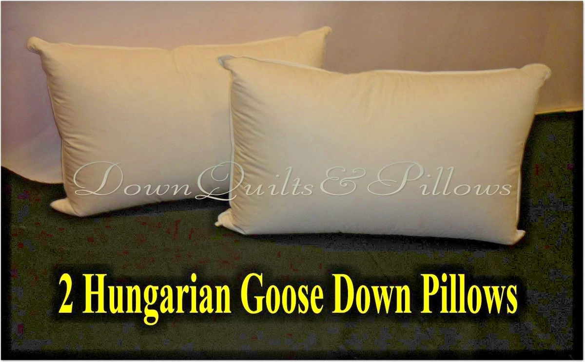 2 STANDARD SIZE PILLOWS FIRM 95 HUNGARIAN GOOSE DOWN EUROPEAN QUALITY