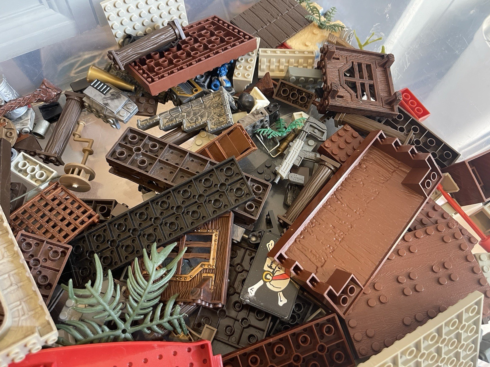 Picture 10 of 13