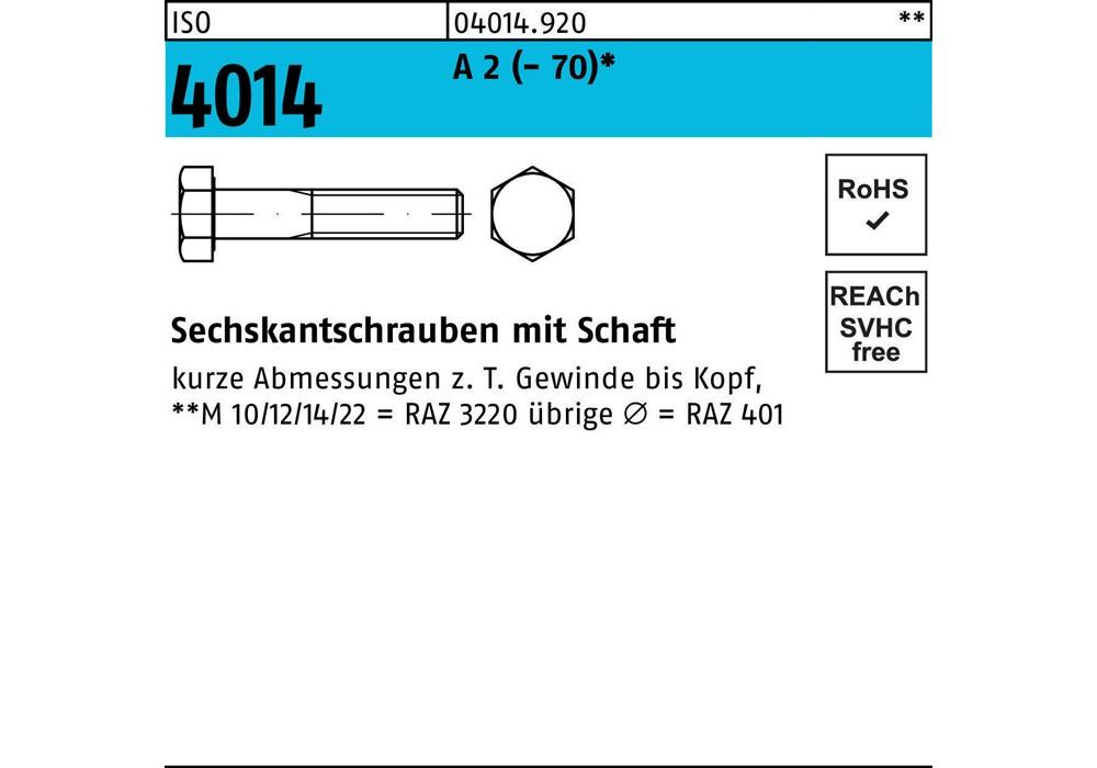 Рейхерское защитное устройство ISO 4014 m.Schaft M 27 x 240 A 2
