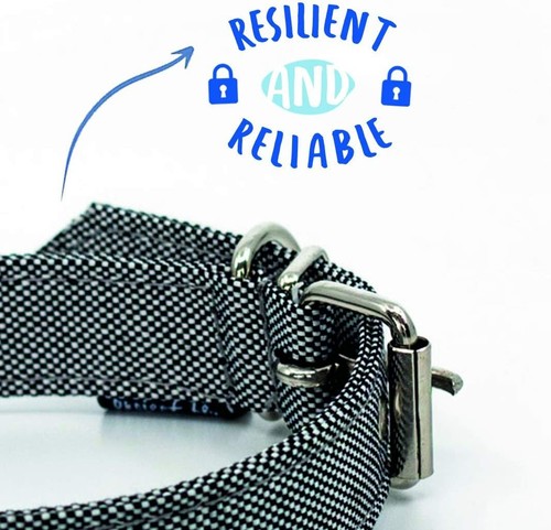 Project Blu Eco-Friendly Dog Collar Recycled Pet Collars Blue Grey XS M L XL - Picture 11 of 38