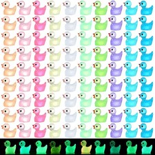 120pcs Luminous Mini Ducks, 10 Colors Tiny Ducks to Hide Resin Ducks Glow in ...
