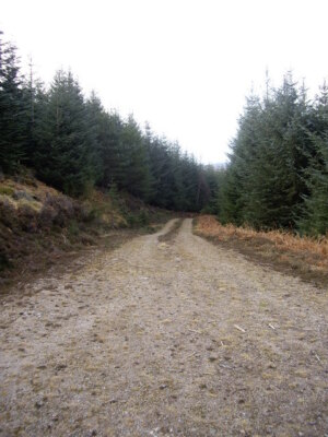 Photo 6x4 Track NW off Hill of Trustach Bridge of Canny  c2009