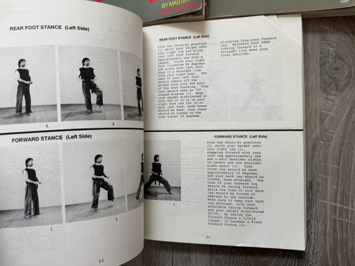 Master's Jumping Kick | Masters Kick | One & Three Step Sparri Master Hee IL Cho - Picture 9 of 11