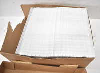 Lot of 500 Double Window Envelopes 1099 Envelopes IRS Approved 77771/DWMR 3