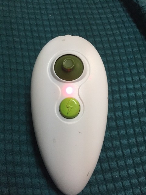Replacement Zoomer Dino Remote Control Spin Master 21r for sale online | eBay