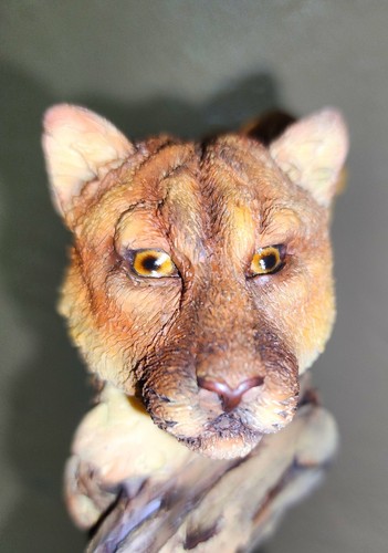Mill Creek Studios Catamount Cougar Sculpture Figurine by Stephen Herrero - Picture 7 of 9