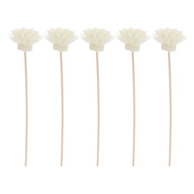  5 Set Duft Stäbe Öl Diffuser Öldiffusorstäbe Aroma-Diffusor-Sticks