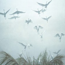 Robert Bateman - Egrets of the Sacred Grove - Paper Print - Mint in envelope