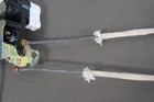 Bild 5 von 20