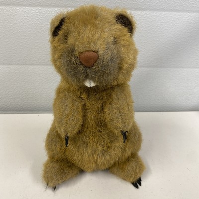 24k Eisbär Biber 9 Zoll Vintage Stofftier Plüsch Teddy @ J