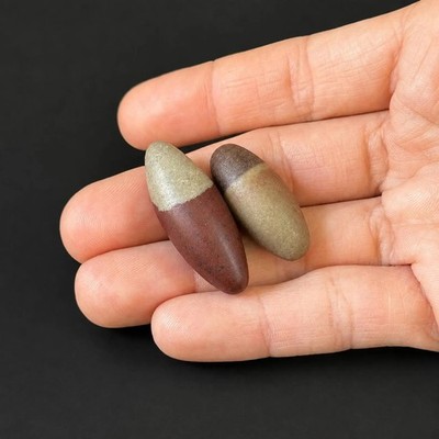 Shiva Lingam Stone Pair Narmada River India Sacred Healing Set of 2
