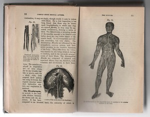 1895-PEOPLE-039-S-COMMON-SENSE-MEDICAL-ADVISER-Health-MEDICINE-Ray-Pierce-MD-Buffalo