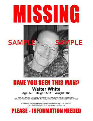 missing walter white