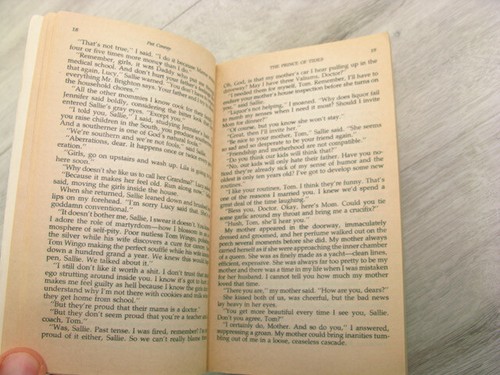 The Prince of Tides Pat Conroy 1991 PB Romance Drama Southern Adult Contemporary - Picture 10 of 12