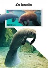 Central Africa - 2022 West Indian Manatee - Stamp Souvenir Sheet - Ca220418b