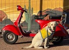 1963 Allstate Vespa 150