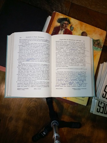 Introduction to French Masterpieces by Douglas Alden HC 1948 1st Edition - Picture 9 of 9