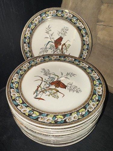 Spode Copeland China RARE Aesthetic Daisy 1387 Pattern Luncheon Plates(13) - Picture 2 of 5