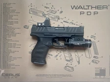Walther PDP 0.177” BB Airgun by Umarex w/ Red Dot and Flashlight
