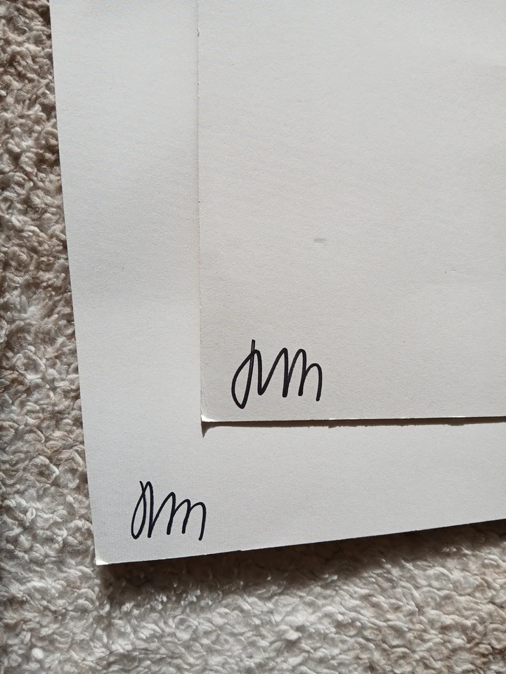 Lote de pósteres de cómics de lucha libre Machoman - Arte parodia firmado por The Rock & Hulk Hogan JM Foto 4 de 4