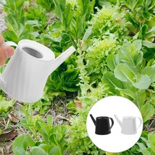  2 pezzi annaffiatoio per piante grasse annaffiatoio per fiori vaso per irrigazione domestica