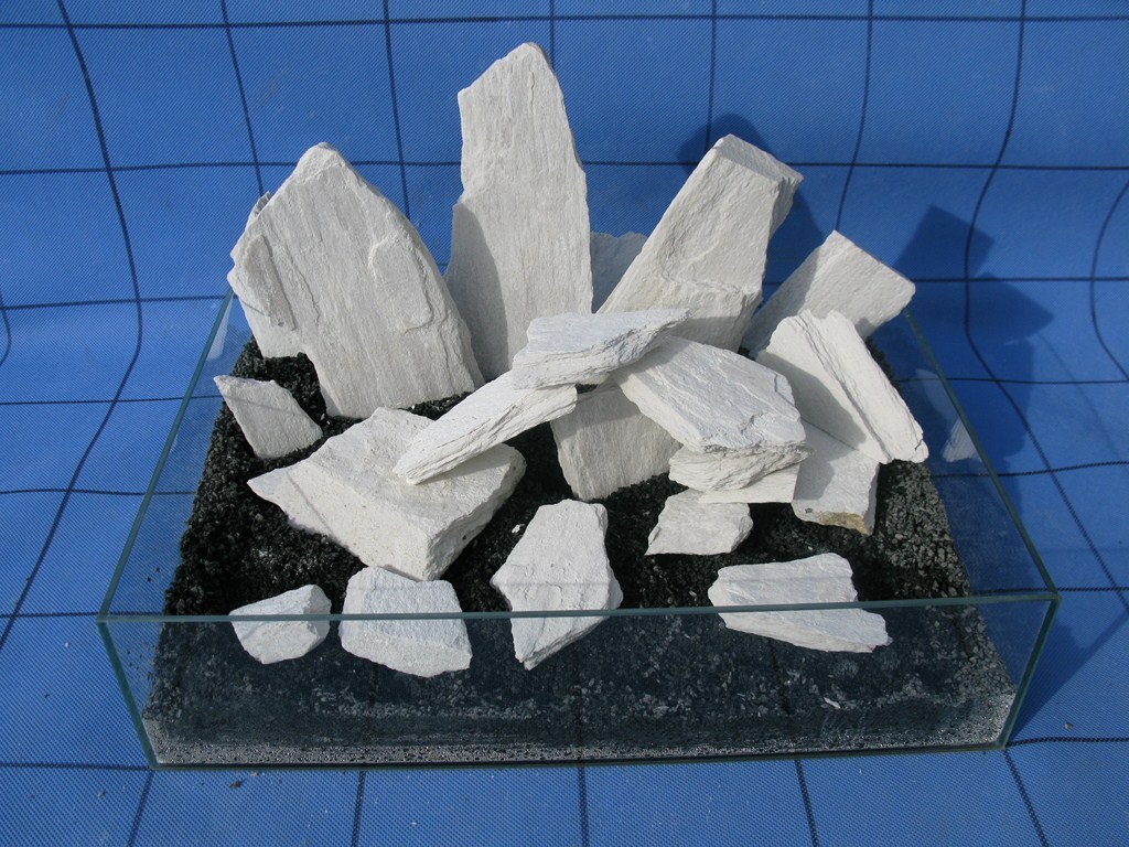 Picture 7 of 10