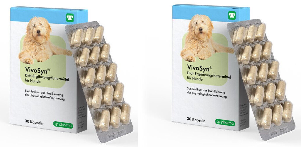 Vivosyn 2x 30 Kapseln Hund Präbiotikum Probiotikum Durchfall Verdauung