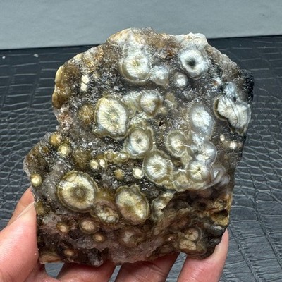 190g Rare Natural Ocean Jasper Raw Stone Quartz Crystal Rough Mineral Specimen