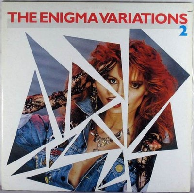 Diverse - The Enigma Variations 2 (2xLP) (Near Mint (NM or M-)) - 3185395600