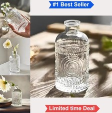 Glass Propagation Vase for Plants Bud Vase Small Flower Vase Home Decor Table
