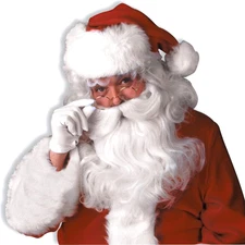 Forum Deluxe Santa Wig and Beard Set