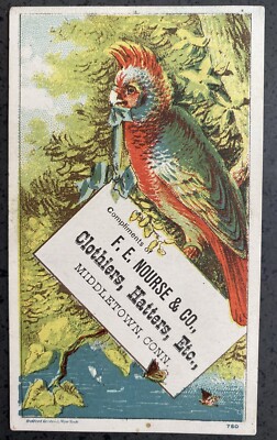1880s Trade Card F E Nourse & Co.  Clothiers Middletown, CT Parrot Ad
