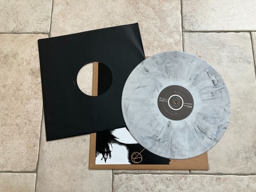 Carina Round _ The Disconnection Vinile LP 33giri 12" SIGNED Puscifer 2016 Tool - Picture 6 of 8