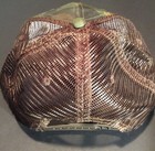 Foto 2 di 3
